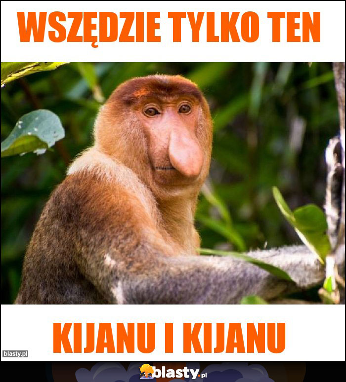 Wszędzie tylko ten