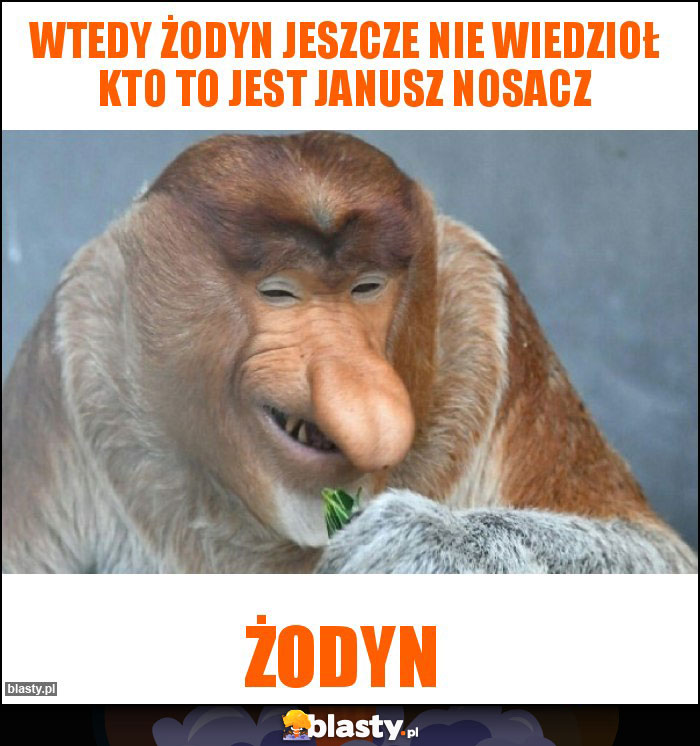 Wtedy żodyn jeszcze nie wiedzioł kto to jest janusz nosacz