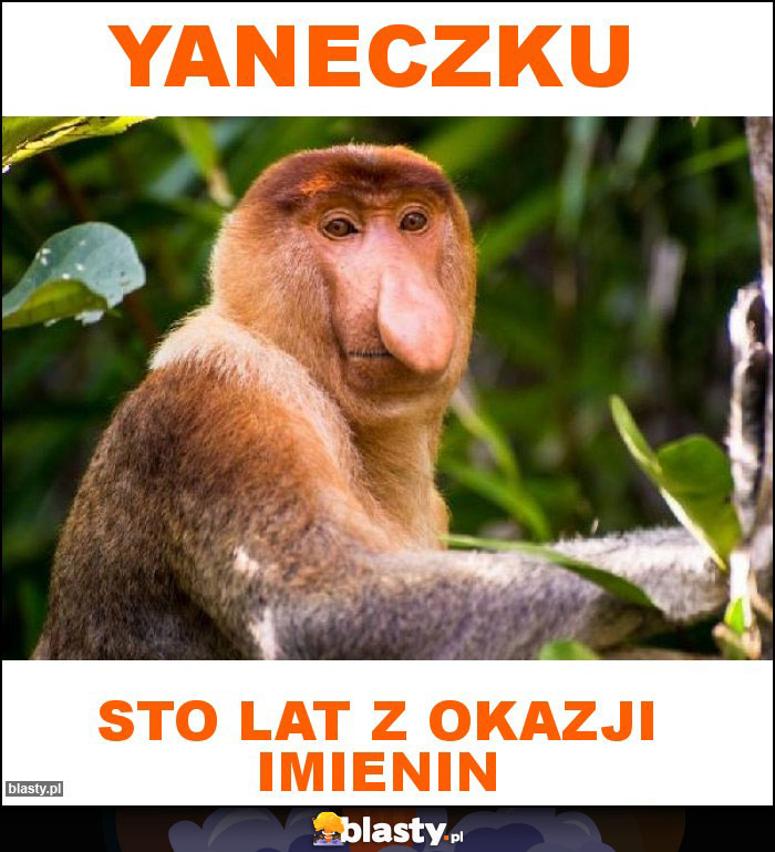 Yaneczku