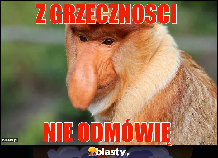 Z grzecznosci