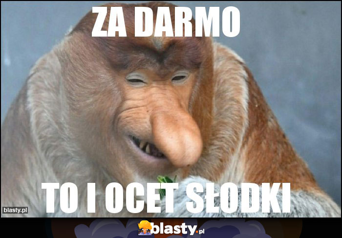 Za darmo