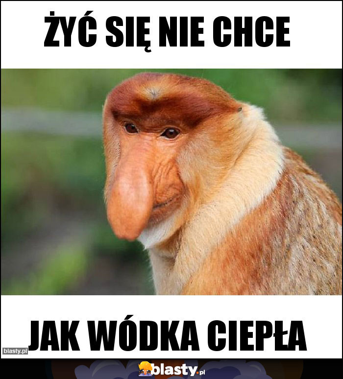 Żyć się nie chce