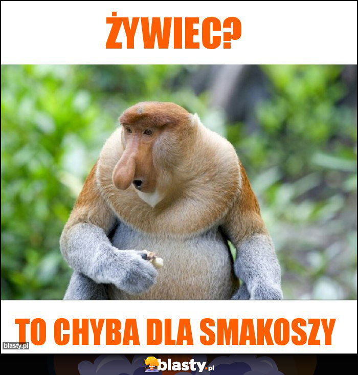 Żywiec?