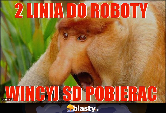 2 linia do roboty