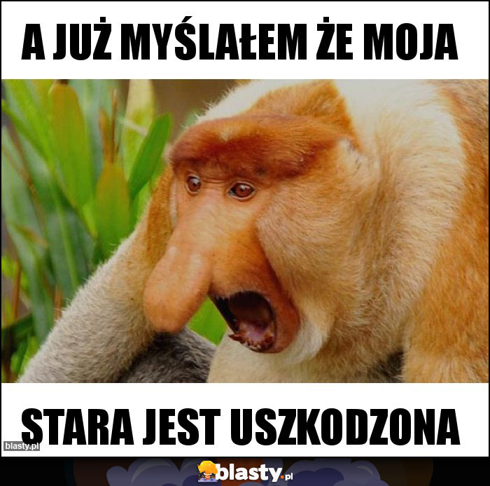 a już myślałem że moja