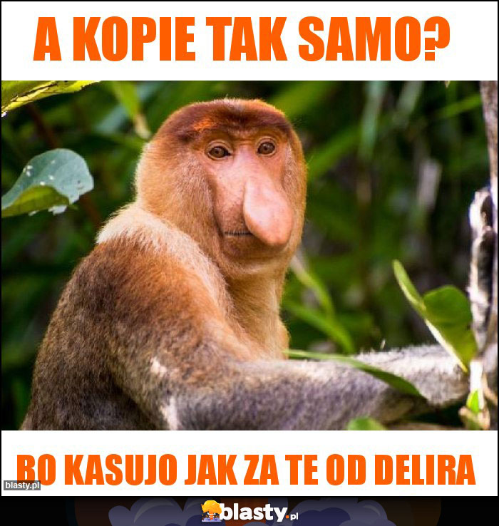 A kopie tak samo?