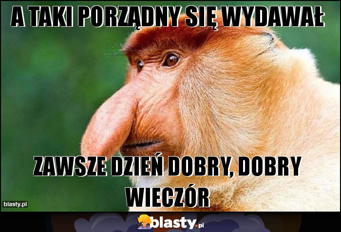 A TAKI PORZĄDNY SIĘ WYDAWAŁ