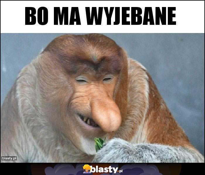 Bo ma Wyjebane