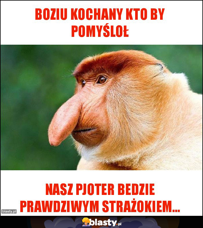 BOZIU KOCHANY KTO BY POMYŚLOŁ