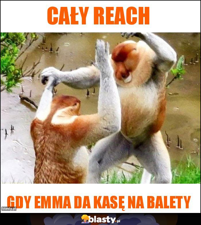 cały reach