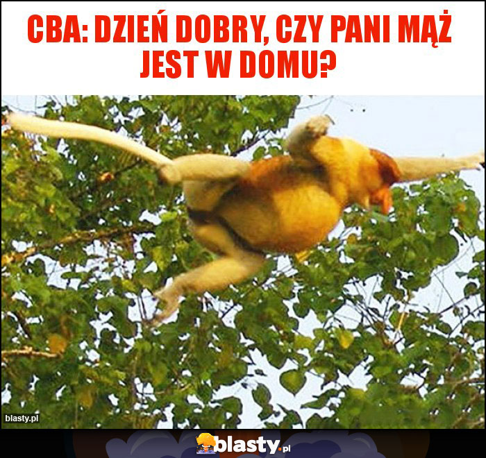 CBA: dzień dobry, czy Pani mąż jest w domu?