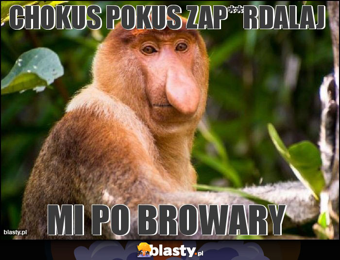 Chokus pokus zap**rdalaj