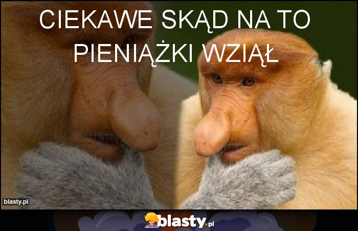 CIEKAWE SKĄD NA TO PIENIĄŻKI WZIĄŁ