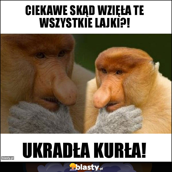 Ciekawe Skąd wzięła te wszystkie lajki?!