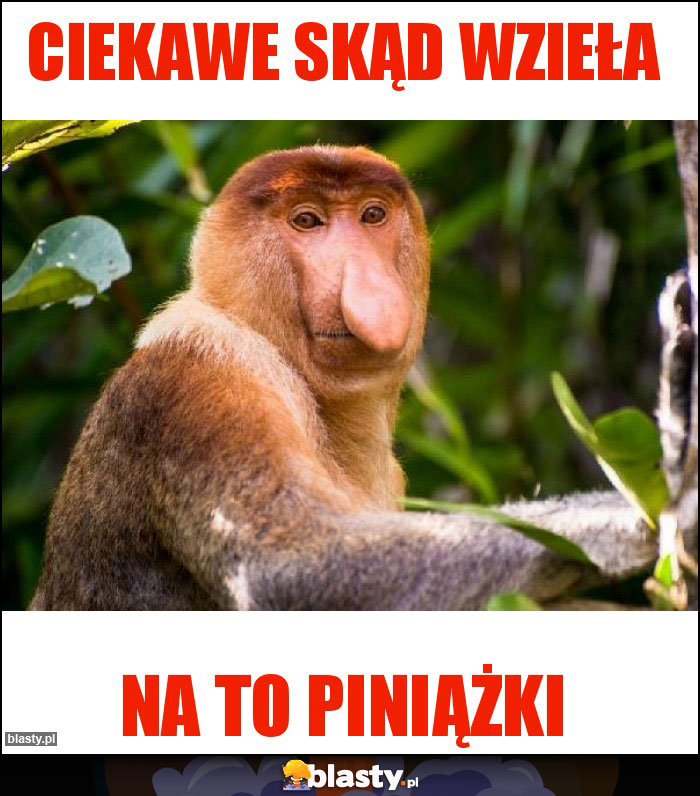 Ciekawe skąd wzieła