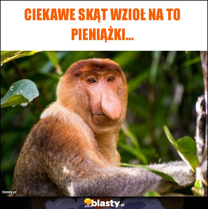 Ciekawe skąt wzioł na to pieniążki...