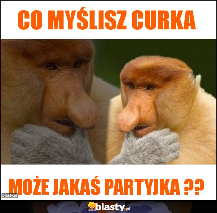 Co myślisz curka