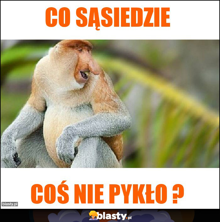 Co Sąsiedzie