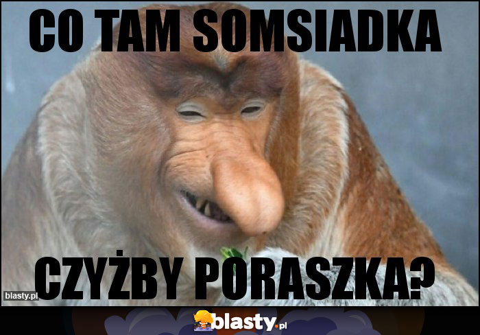 Co tam somsiadka