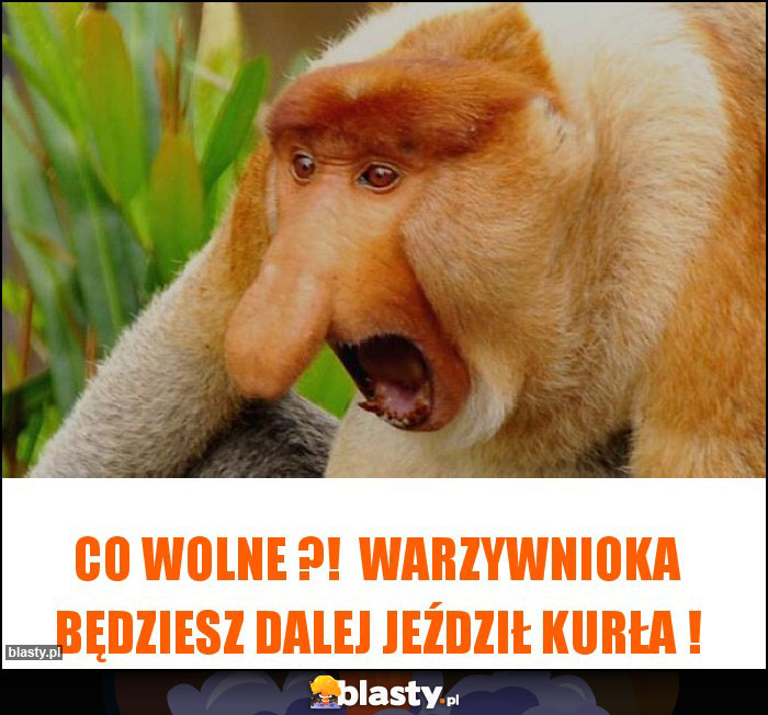 Co wolne ?!  Warzywnioka będziesz dalej jeździł kurła !