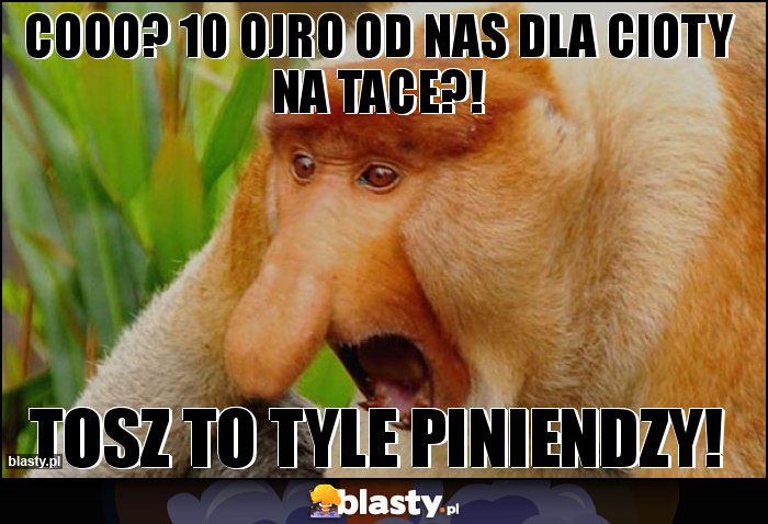 Cooo? 10 ojro od nas dla cioty na tace?!