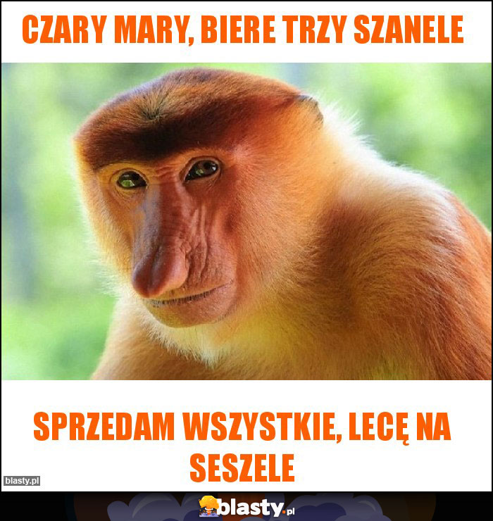 Czary mary, biere trzy szanele