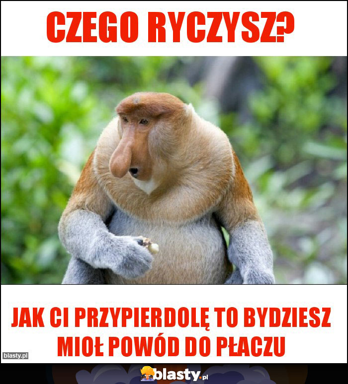 Czego ryczysz?