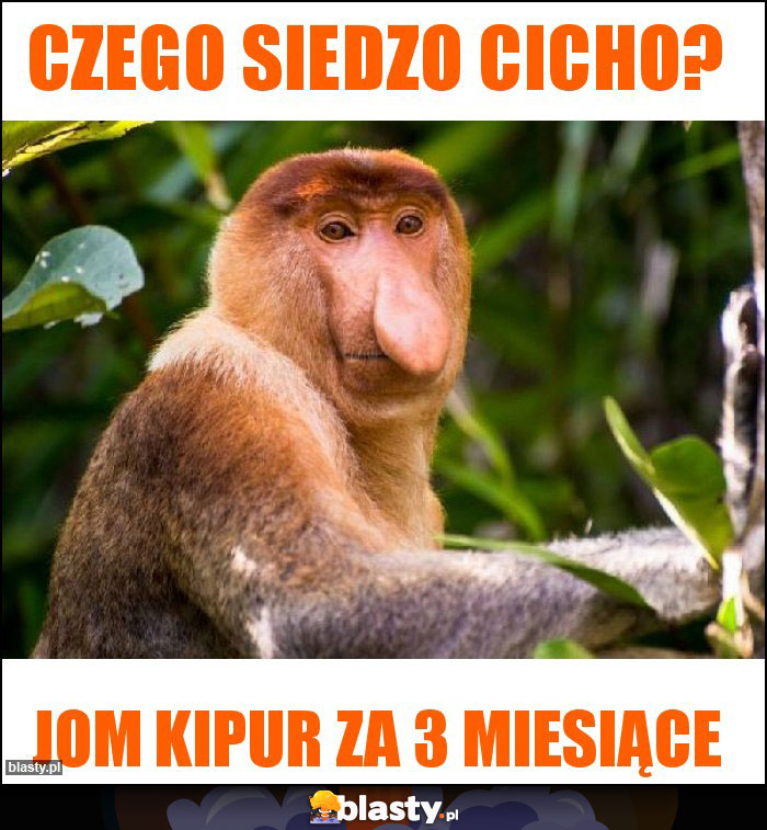 Czego siedzo cicho?