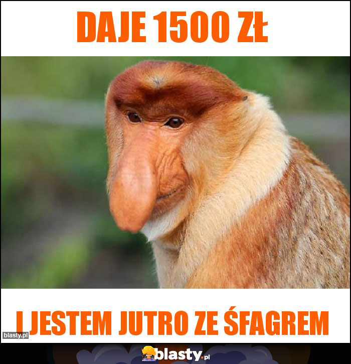 Daje 1500 zł