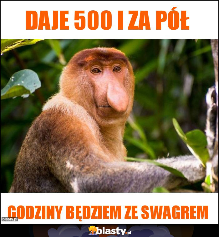 Daje 500 i za pół