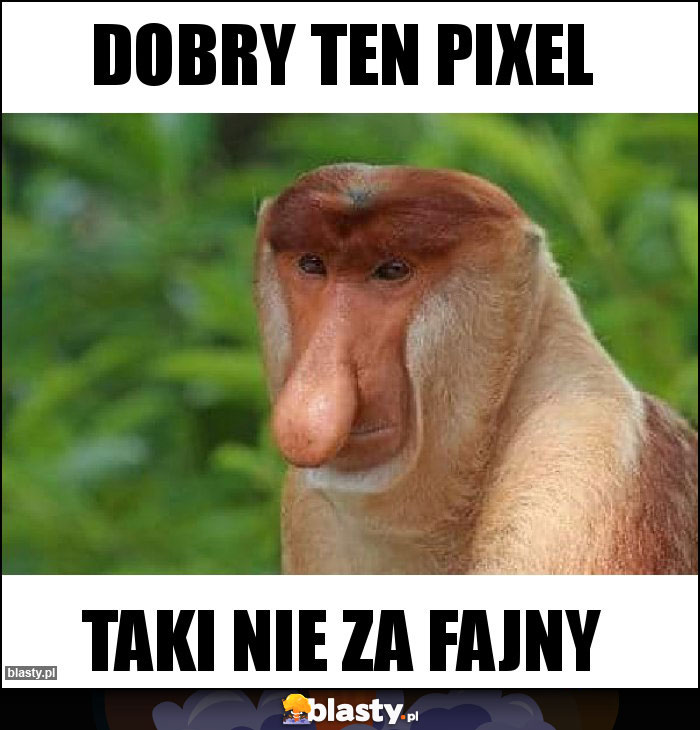 DOBRY TEN PIXEL