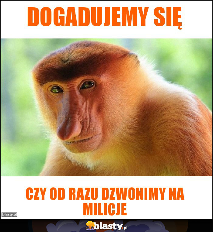 Dogadujemy się