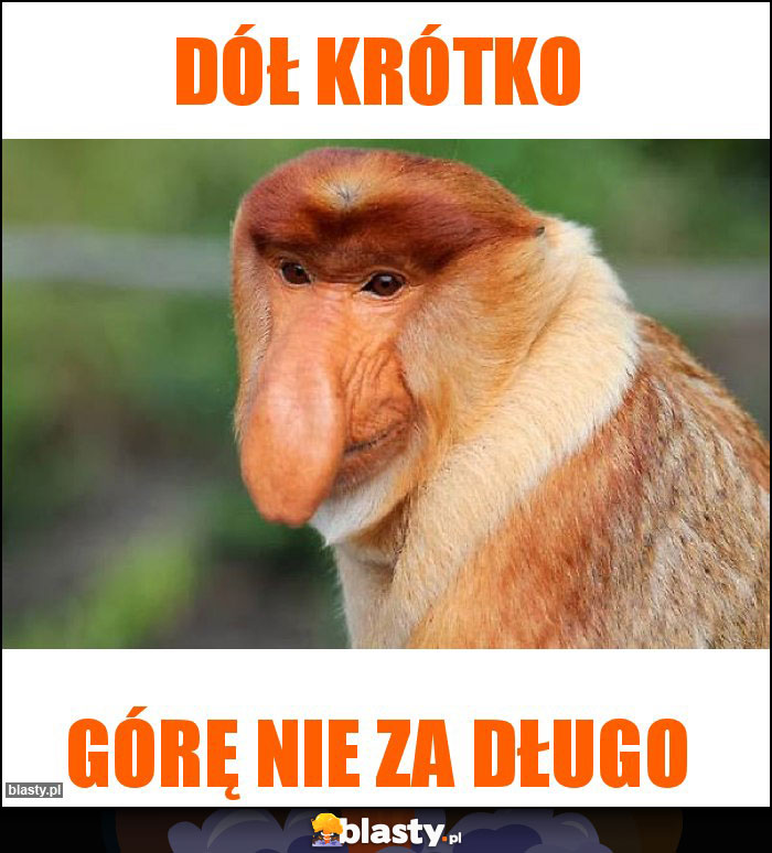 Dół krótko