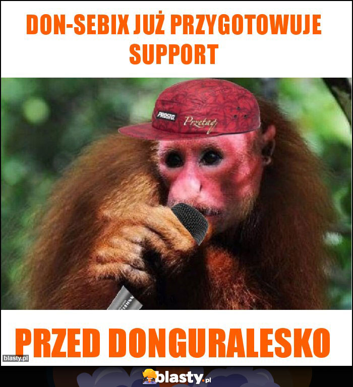 don-sebix już przygotowuje support