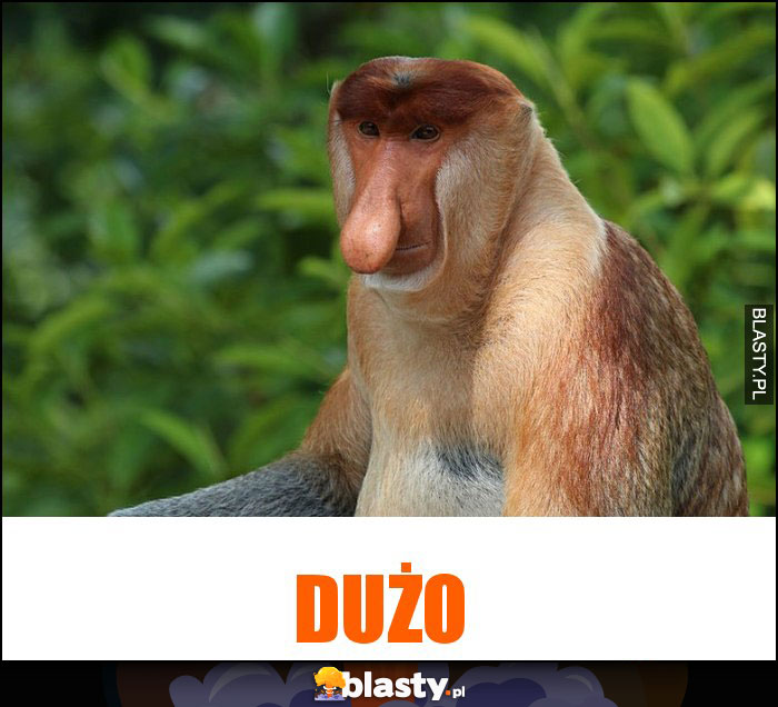 DUŻO