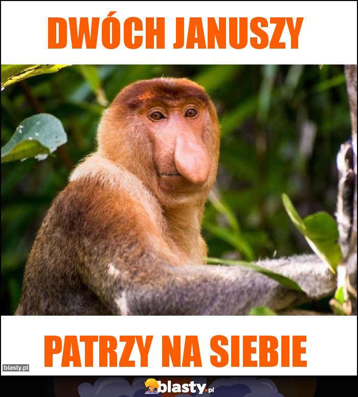 DWÓCH JANUSZY