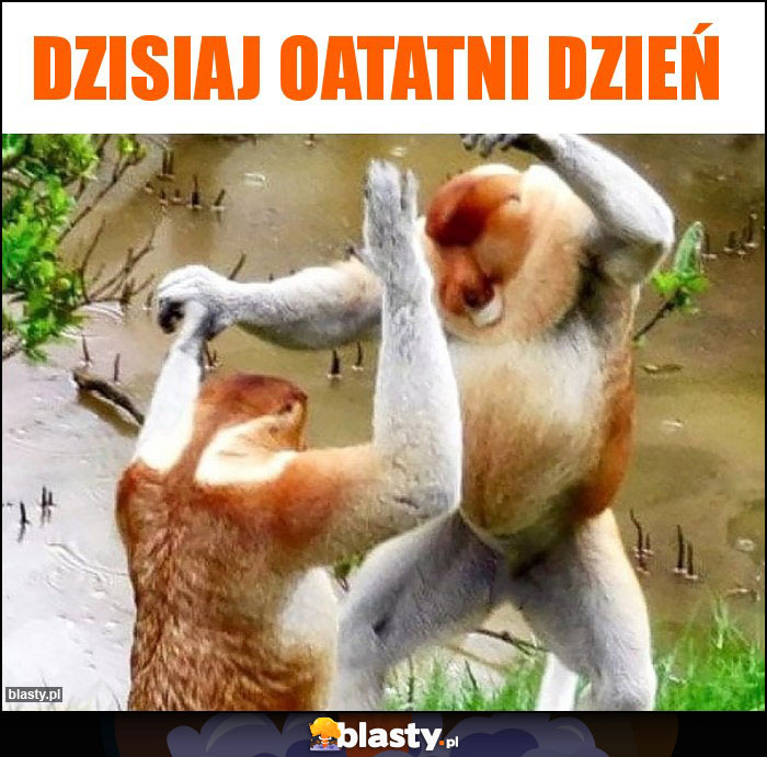 Dzisiaj oatatni dzień