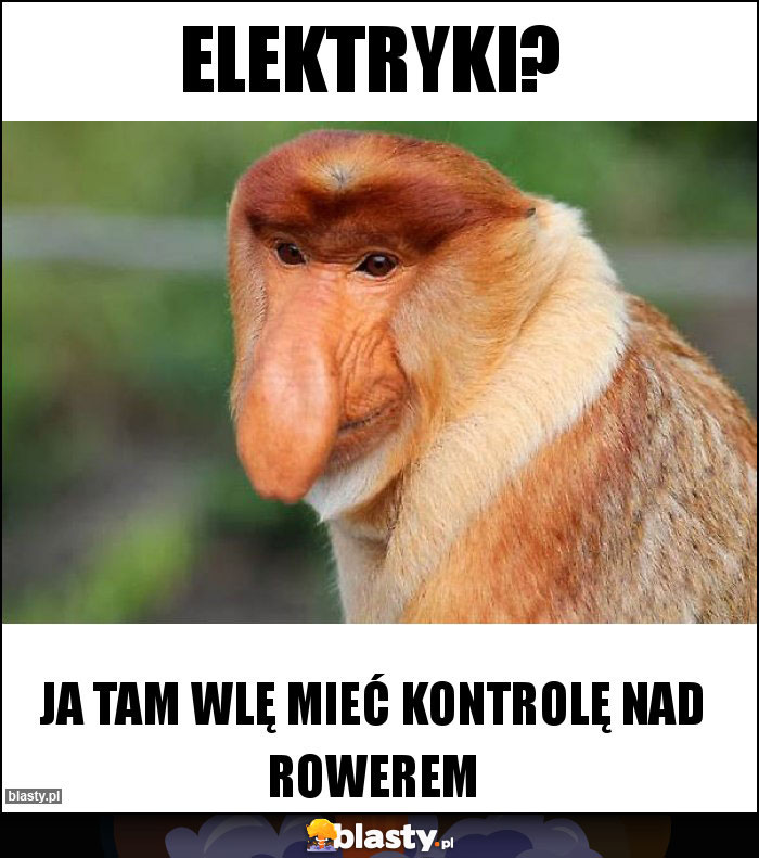 Elektryki?