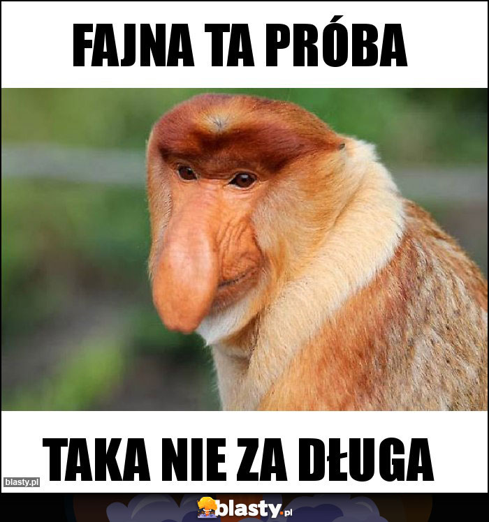 Fajna ta próba