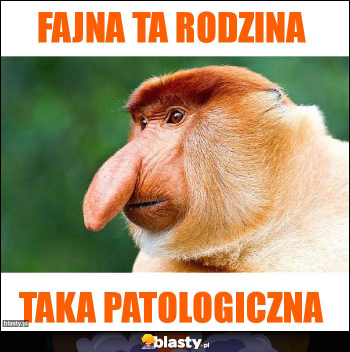 Fajna ta rodzina