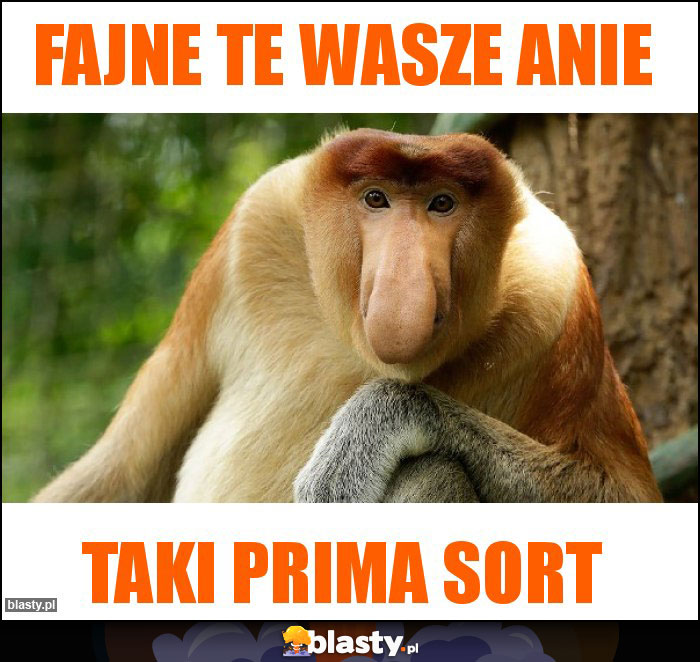 FAJNE TE WASZE ANIE