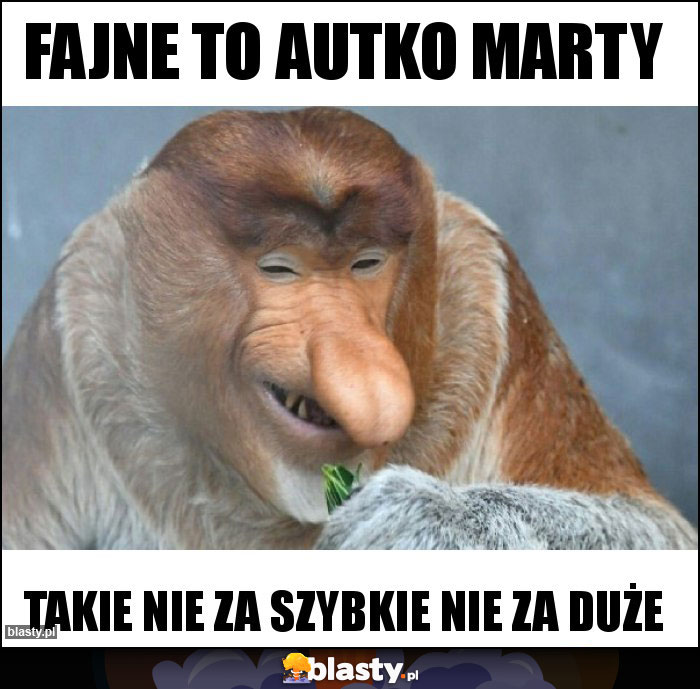 fajne to autko marty