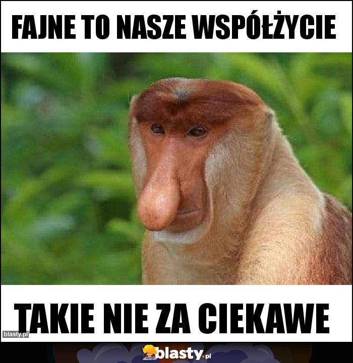 Fajne to nasze współżycie