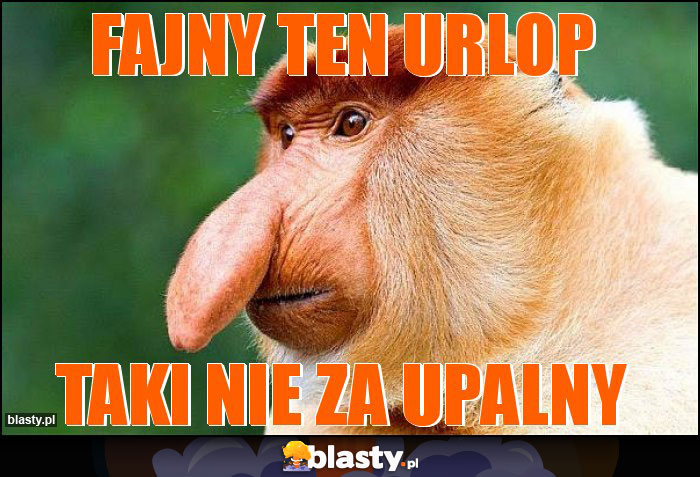 Fajny ten urlop