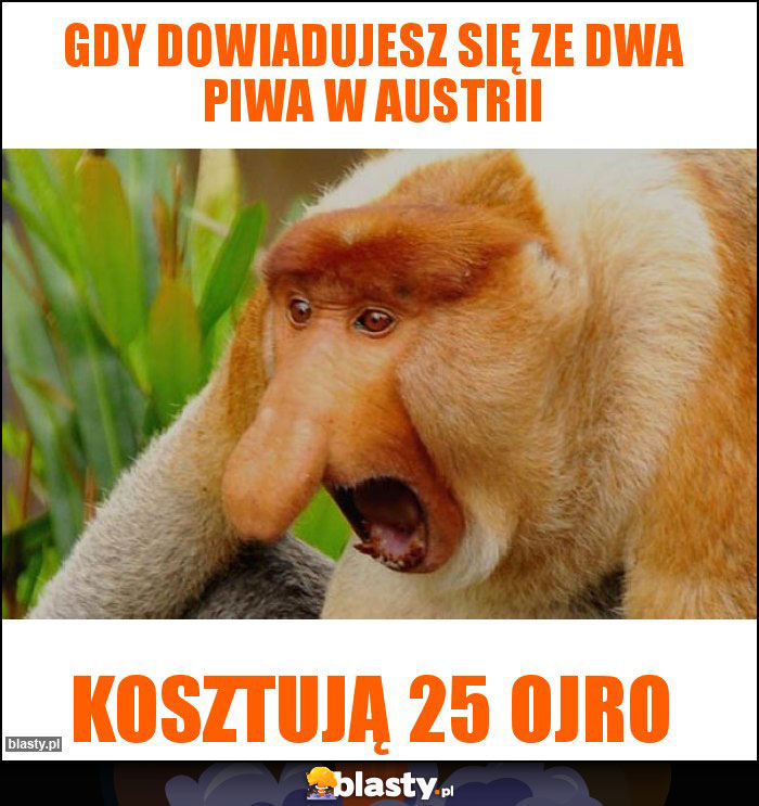 Gdy dowiadujesz się ze dwa piwa w Austrii