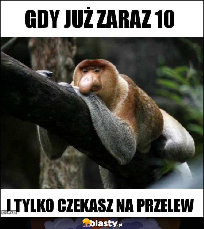 Gdy już zaraz 10