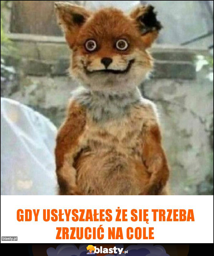 Gdy usłyszałes że się trzeba zrzucić na cole