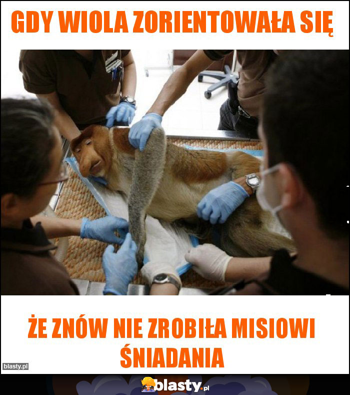 Gdy Wiola zorientowała się