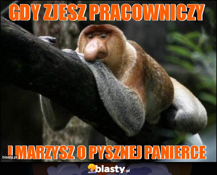 Gdy zjesz pracowniczy