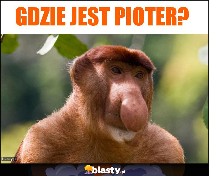 Gdzie jest Pioter?